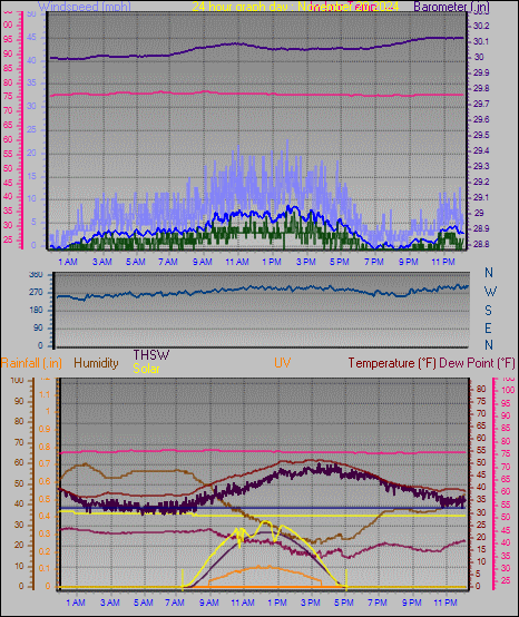 24 Hour Graph for Day 20