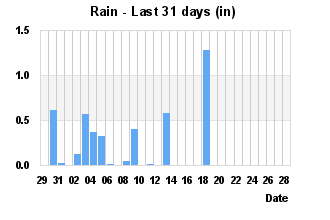 Rainfall Past 31 days